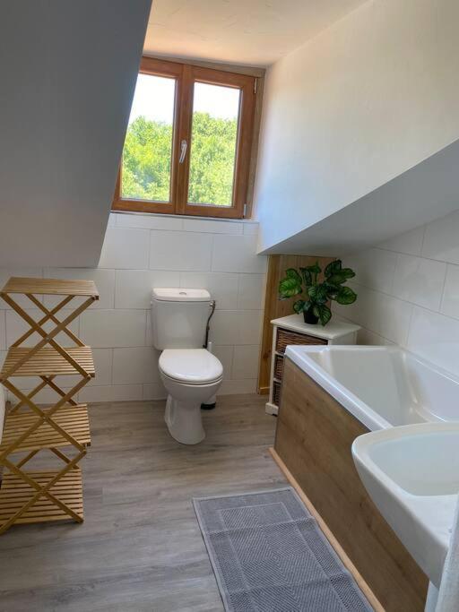 Spacious 1 Bed Home With Shared Pool Champagnac-la-Riviere Exterior photo